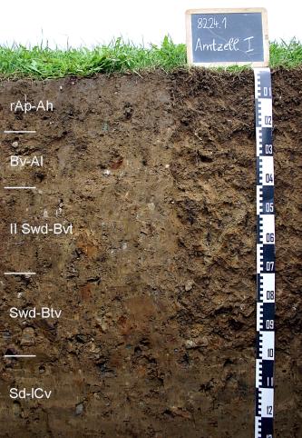 Das Foto zeigt ein Bodenprofil unter Grünland. Es handelt sich um ein Musterprofil des LGRB. Das fünf Horizonte umfassende Profil ist etwa 1,30 m tief.