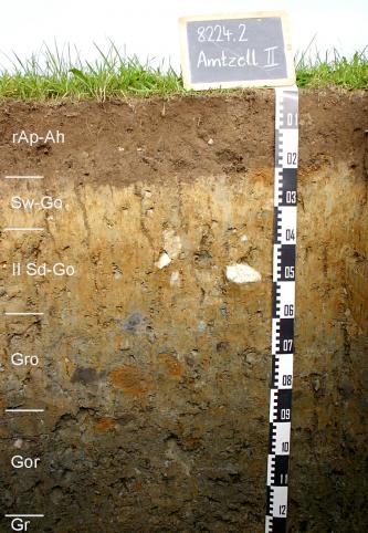 Pseudovergleyter Gley aus spätglazialer Fließerde über würmzeitlichem Schwemmsediment (U138) Das Foto zeigt ein Bodenprofil unter Grünland. Es handelt sich um ein Musterprofil des LGRB. Das sechs Horizonte umfassende Profil ist 1,25 m tief.