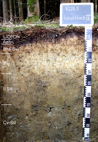 Das Foto zeigt ein Bodenprofil unter Wald. Es handelt sich um ein Musterprofil des LGRB. Das sechs Horizonte umfassende Profil ist 1 m tief.