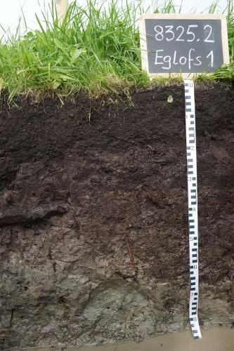 Mittel tiefes vererdetes Niedermoor aus Torf über Mudde und würmzeitlichem Schwemmsediment Das Foto zeigt ein Bodenprofil unter Grünland. Es handelt sich um ein Musterprofil des LGRB. Das schwarzbraune Profil ist etwa 80 cm tief. Am Boden steht Wasser.
