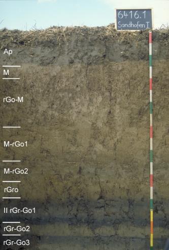 Kalkhaltiger Auengley-Brauner Auenboden mit reliktischer Vergleyung aus Auenlehm über Stillwassersediment Blick auf ein Bodenprofil unter Ackerland. Es handelt sich um ein Musterprofil des LGRB. Links sind neun Bodenhorizonte angegeben. Rechts zeigt eine Tafel Nummer und Name, ein Maßband die Tiefe (180 cm) des braunen, unten streifigen Profils an.