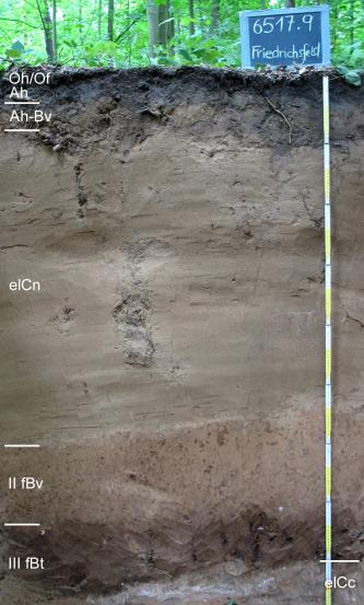 Podsolige Braunerde aus holozänem Flugsand Blick auf ein Musterprofil des LGRB unter Wald. Die sichtbare Profilwand ist schwarzbraun bis graubraun, unten auch rötlich braun gestreift. Links sind fünf Bodenhorizonte angegeben, rechts unten ein weiterer. Die Profiltiefe liegt bei 160 Zentimetern.