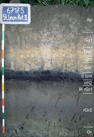 Kalkhaltiger Auengley aus Auenlehm über Niedermoor und sandig-lehmigen Hochwasserabsätzen Blick auf ein Musterprofil des LGRB unter Grünland. Die sichtbare Profilwand ist in der oberen Hälfte grau bis gelblich, darunter dunkelgrau bis grünlich gefärbt. Das Profil ist in sieben Horizonte gegliedert und 1,50 Meter tief.