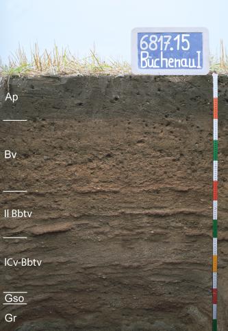 Tief entwickelte Bänderbraunerde mit Vergleyung im nahen Untergrund, aus Niederterrassensand und -kies Das Bild zeigt ein Musterprofil des LGRB unter Acker. Das dunkelbraune Bodenprofil ist in sechs Horizonte gegliedert und 140 Zentimeter tief. Eine Kreidetafel rechts oben gibt Nummer und Name des Profils an.
