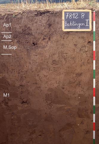 Blick auf ein Musterprofil des LGRB unter Ackerland. Die rötlich graue bis braune, unten dunkelrotbraune Profilwand ist in vier Bodenhorizonte eingeteilt und über einen Meter vierzig tief. Rechts oben zeigt eine Tafel Nummer und Name des Profils.