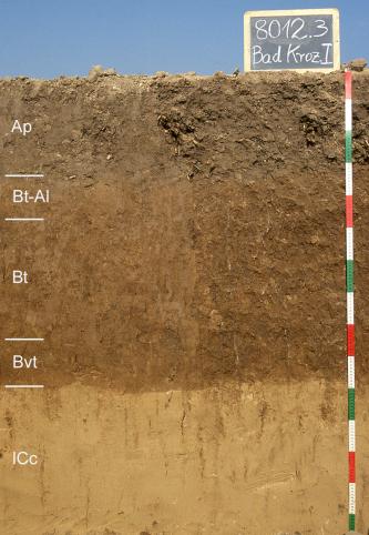 Blick auf ein Musterprofil des LGRB unter Ackerland. Die sichtbare Profilwand zeigt drei waagerecht verlaufende Farbschichten, ist in fünf Horizonte eingeteilt und etwa einen Meter fünfzig tief. Oben rechts zeigt eine Tafel Nummer und Name des Profils.