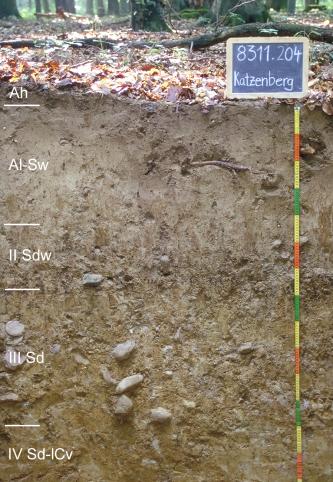 Musterprofil eines hell- bis mittelbraunen Bodens. In der unteren Hälfte ist der Boden geröllführend. Am linken Bildrand befinden sich Beschriftungen der Bodenhorizonte, rechts ein bunter Maßstab und darüber ein Schild mit Beschriftung.