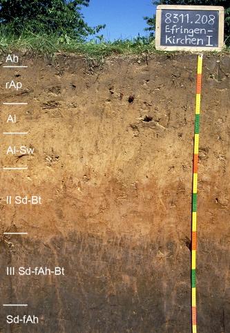 Das Foto zeigt ein Bodenprofil unter Wald. Es handelt sich um ein Musterprofil des LGRB. Das in sieben Horizonte unterteilte Profil ist etwa 1,50 m tief.