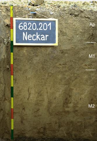 Das Foto zeigt ein Bodenprofil unter Acker. Es handelt sich um ein Musterprofil des LGRB. Das in drei Horizonte gegliederte Profil ist 120 cm tief.