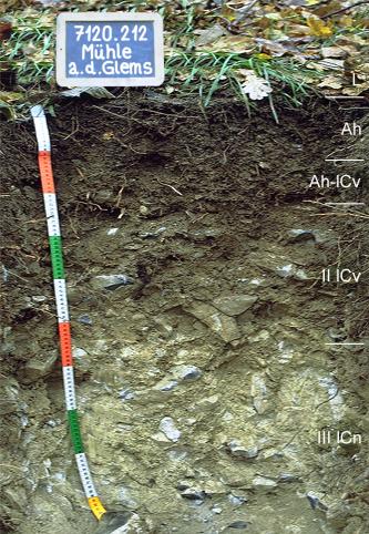 Das Foto zeigt ein Bodenprofil unter Wald. Es handelt sich um ein Musterprofil des LGRB. Das in fünf Horizonte gegliederte Profil ist 1 m tief.