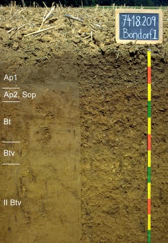 Das Foto zeigt ein Bodenprofil unter Acker. Es handelt sich um ein Musterprofil des LGRB. Das fünf Horizonte umfassende Bodenprofil ist über 1 m tief.