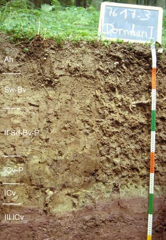 Das Foto zeigt ein Bodenprofil unter Wald. Es handelt sich um ein Musterprofil des LGRB. Das sechs Horizonte umfassende und an der Sohle rötliche Bodenprofil ist etwa 90 cm tief.