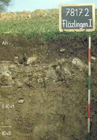 Das Foto zeigt ein Bodenprofil unter Grünland. Es handelt sich um ein Musterprofil des LGRB. Das vier Horizonte umfassende Profil ist etwa 75 cm tief.