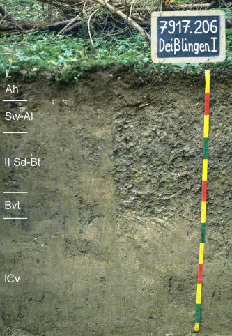 Das Foto zeigt ein Bodenprofil unter Wald. Es handelt sich um ein Musterprofil des LGRB. Das fünf Horizonte umfassende Profil ist über 1,20 m tief.