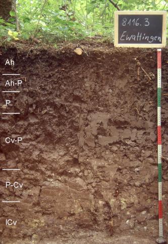 Das Foto zeigt ein Bodenprofil unter Wald. Es handelt sich um ein Musterprofil des LGRB. Das sechs Horizonte umfassende Bodenprofil ist über 1 m tief.
