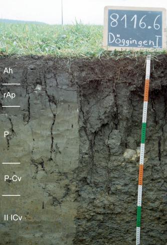Das Foto zeigt ein Bodenprofil unter Grünland. Es handelt sich um ein Musterprofil des LGRB. Das rissige, fünf Horizonte umfassende Profil ist 90 cm tief.