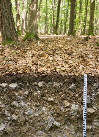 Pelosol-Rendzina bei Boxberg-Kupprichhausen