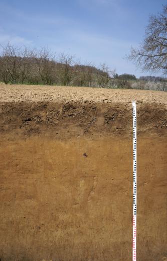Das Foto zeigt ein Bodenprofil unter Acker. Das rötlich braune Profil ist 1,40 m tief. Die Ackerkrume ist ausgebleicht.