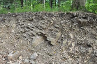 Blick auf graubraunes, offenliegendes Boden- und Gesteinsmaterial an einem Waldhang. Das Gestein ragt teils splittrig aus dem Bodenprofil heraus, teils liegt es als Schotter auf.