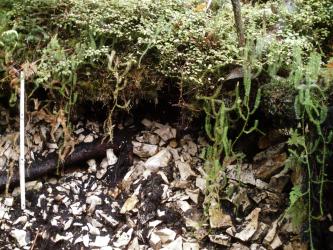 Das Foto zeigt ein Bodenprofil unter Wald. Das sehr steinige Profil ist etwa 70 cm tief.