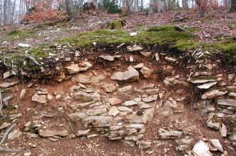 Blick auf einen Aufschluss am unteren Ende eines flach ansteigenden Waldhanges. Das sichtbare Bodenprofil ist stark mit geschichtetem Gesteinsmaterial gefüllt.