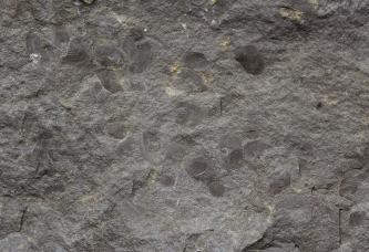 Die Nahaufnahme zeigt die unebene Oberfläche eines dunkelgrauen Gesteins. In der Oberfläche befinden sich rundliche Vertiefungen.