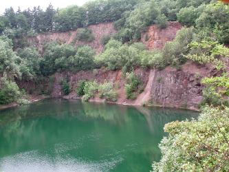 Das Bild zeigt eine stark zugewachsene Steinbruchwand mit davor liegendem See. Die Gesteine haben eine rötlich braune Farbe.