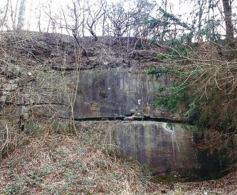 Massige Sandsteine der Stuttgart-Formation (kmSt, früher: Schilfsandstein): Eichelhof nordwestlich von Untermünkheim Blick auf eine stark zugewachsene Gesteinswand. Zwei übereinanderliegende, violett-graue Steinblöcke sind noch zu erkennen.