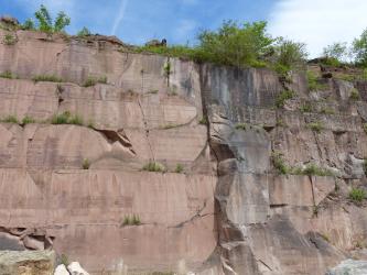 Blick auf eine hohe, aus dickbankigen, rötlich grauen Quadern bestehende Steinbruchwand. Im rechten Bildteil ist das Gestein dunkler und steht, ähnlich einem Kamin, etwas hervor. Links sind kleinere Nischen in der Wand sichtbar. Die Kuppe ist bewachsen.