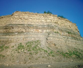 Erfurt-Formation (kuE, früher: Lettenkeuper): Steinbruch Wilhelmsglück Das Bild zeigt eine Steinbruchwand mit oben gelblichen, feinbankigen Gesteinslagen. Nach unten hin sind die Schichten hellbraun und teilweise bewachsen.