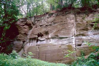 Blick auf eine ehemalige Steinbruchwand unterhalb eines Waldhanges. Das bräunliche Gestein zeigt im unteren Drittel weißliche Querstreifen.