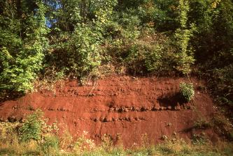Das Bild zeigt einen Aufschluss aus orange-roten Sedimenten. Über dem Aufschluss wachsen einige Büsche.