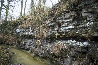 Seitlicher Blick auf eine Felsböschung entlang eines schmalen Baches. Das freiliegende, graue Gestein ist plattig, von Furchen durchzogen und bewachsen.