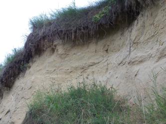 Sandgrube in der Oberen Meeresmolasse bei Dischingen-Ballmertshofen; Foto: Geopark Schwäbische Alb Seitlicher Blick auf die nach rechts ansteigende Wand einer Sandgrube. Die hellgraue Grubenwand ist auf der Kuppe und am unteren Rand bewachsen.
