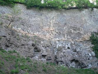 Blick auf eine alte Steinbruchwand aus Lavagestein, hellgrau im oberen Teil, dunkler und aus klobigen Blöcken bestehend im unteren Teil. Dazwischen verlaufen rötlich goldene Bänder in Halbkreisform.