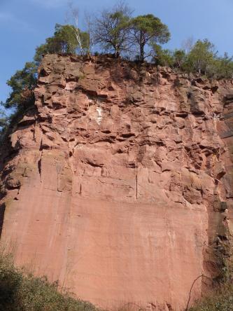 Blick auf eine hohe, rötlich braune Steinbruchwand. Die untere Hälfte der Gesteinswand ist glatt, in der oberen Hälfte türmen sich bankige Blöcke, die eine schartige Oberfläche bilden. Am oberen Ende der Wand wachsen Bäume.