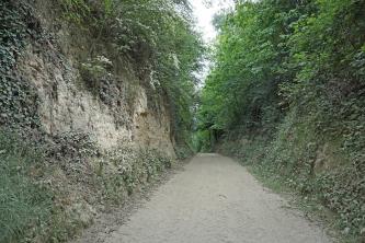 In der Buntenhalengasse südwestlich von Bötzingen-Oberschaffhausen Blick auf einen breiten, zum Vordergrund hin leicht abschüssigen Hohlweg. Die Wand links des Weges zeigt neben Bewuchs mit Sträuchern und Bäumen auch steile, freiliegende Lösswände. Die Wand rechts ist dagegen fast ganz zugewachsen.
