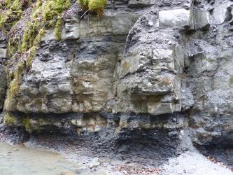Das Bild zeigt das felsige Ufer eines Baches. Das teilweise hervorstehende Gestein hat eine grau-violette Farbe.