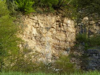 Blick auf eine hohe, gelblich braune Gesteinswand, deren Kuppe dicht bewachsen ist. Rechts steht ein im Schatten liegender, ebenfalls bewachsener Vorsprung hervor. Im Vordergrund links und unten verdecken Bäume und Grashalme einen Teil der Steinwand.