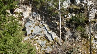 Blick auf einen mit dünnen Bäumen und Sträuchern bestandenen Berghang. Links liegt helles Felsgestein frei. Auch rechts sind Felsstücke erkennbar, sie sind jedoch teilweise von Bewuchs verdeckt.