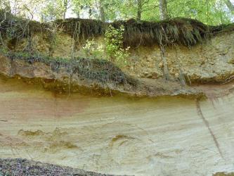 Blick auf die Wand einer alten Sandgrube. Aufgeschlossen sind wellenförmig verlaufende graublaue und gelblich bis rötliche Sande. Darüber folgt verbackenes Geröll sowie eine Schicht aus Oberboden mit Baumwurzeln.