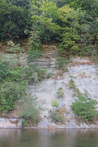 Teilansicht eines an einem Fluss verlaufenden, senkrecht abfallenden Steilhang. Der Hang besteht aus grauem, teils bewachsenem Gestein. Die Kuppe oben ist bewaldet.