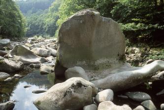 Blick auf zahlreiche, in einem Flussbett liegende Felsblöcke. Ein besonders großer Block im Vordergrund hat die Form eines aufgestellten Schildes. Die Ufer des Flusses sind bewaldet.