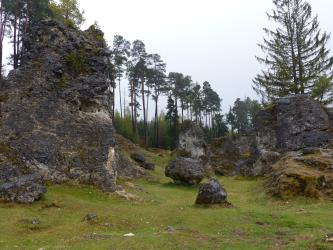 Felsbildungen im oberen Wental südöstlich von Bartholomä Blick auf mehrere unterschiedlich große, schwärzlich grau verfärbte Felsbildungen. Die Felsen verteilen sich auf einer wannenartigen Wiese, vor bewaldetem Hintergrund.