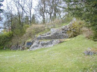 Blick auf einen nach links abfallenden Hang mit grauen, stufigen Felsen, Gebüsch sowie im Hintergrund stehenden Bäumen.