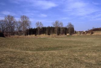 Doline in der Rottweil-Formation (moR): Gewann Vogelherd ca. 1300 m südlich der Ortsmitte von Starzach-Wachendorf im Landkreis Tübingen Unter einem violett-blauen Himmel breitet sich eine flache grüne Senke aus. In der Mitte ist eine dunklere Vertiefung erkennbar. Am Rand der Senke steht Wald.