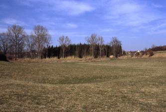 Unter einem violett-blauen Himmel breitet sich eine flache grüne Senke aus. In der Mitte ist eine dunklere Vertiefung erkennbar. Am Rand der Senke steht Wald.