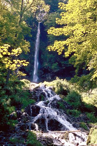 Blick auf einen zweigeteilten, von Wald umgebenen Wasserfall. Im Hintergrund stürzt das Wasser aus großer Höhe hinab, im Vordergrund fließt es über mehrere, treppenartig aufgebaute flache Stufen weiter.