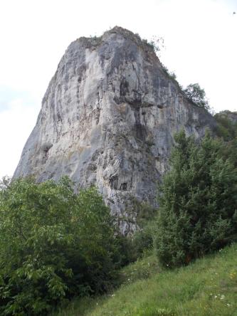 Metzgerfelsen am Ruckenberg (Umlaufberg) in Blaubeuren Hinter einem mit Bäumen bestandenen, nach rechts ansteigenden Wiesenhang ragt ein großer grauer Felsenkegel mit Spalten und Nischen auf.