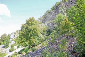 Blick auf einen nach rechts aufsteigenden steilen Felshang mit hellem Gestein. Links unten erhebt sich eine kleine Felsnadel. Rechts vorn liegt Geröll, dazwischen wachsen Bäume und Büsche.